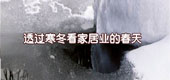 透過寒冬看家居業的春天