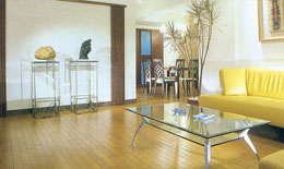 2009年地板行業發展形勢謹慎樂觀